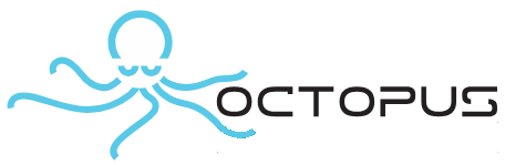 Octopus Carwash logo